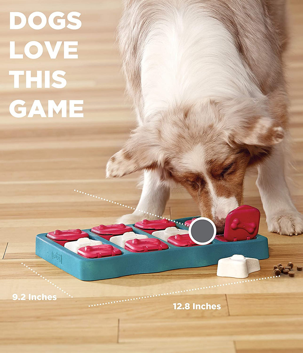 Nina Ottosson Dog Brick Interactive Treat Puzzle Dog Toy, Blue - Level 2  (Intermediate)