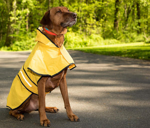 Rainy Days Slicker Yellow Raincoat, XSmall