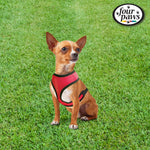 Four Paws® Comfort Control Harness for Dogs - Red