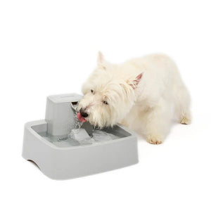 Drinkwell® Pet Fountain