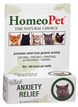 Anxiety Relief for Cats