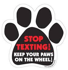 STOP TEXTING Pet Magnet